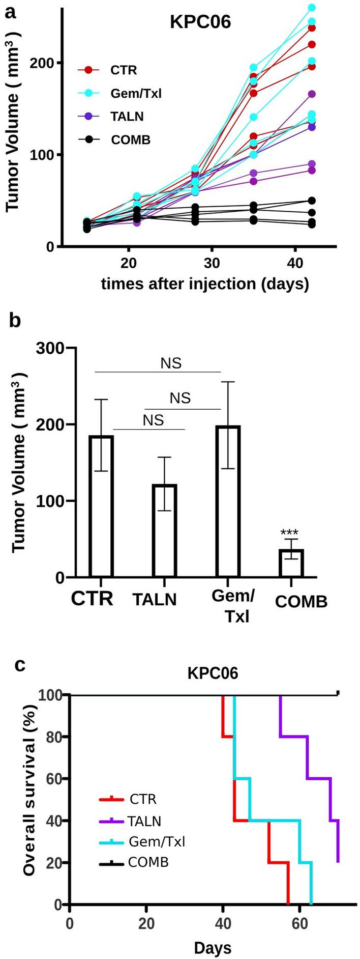 https://cdn.ncbi.nlm.nih.gov/pmc/blobs/13ca/10668479/ee8cd94dc404/12967_2023_4733_Fig5_HTML.jpg