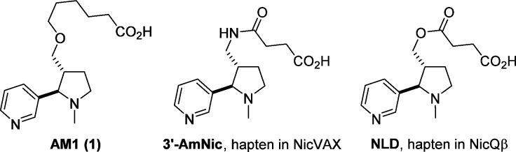 https://cdn.ncbi.nlm.nih.gov/pmc/blobs/13ca/3983143/4fbf1b2e9f98/bc-2014-00016k_0001.jpg