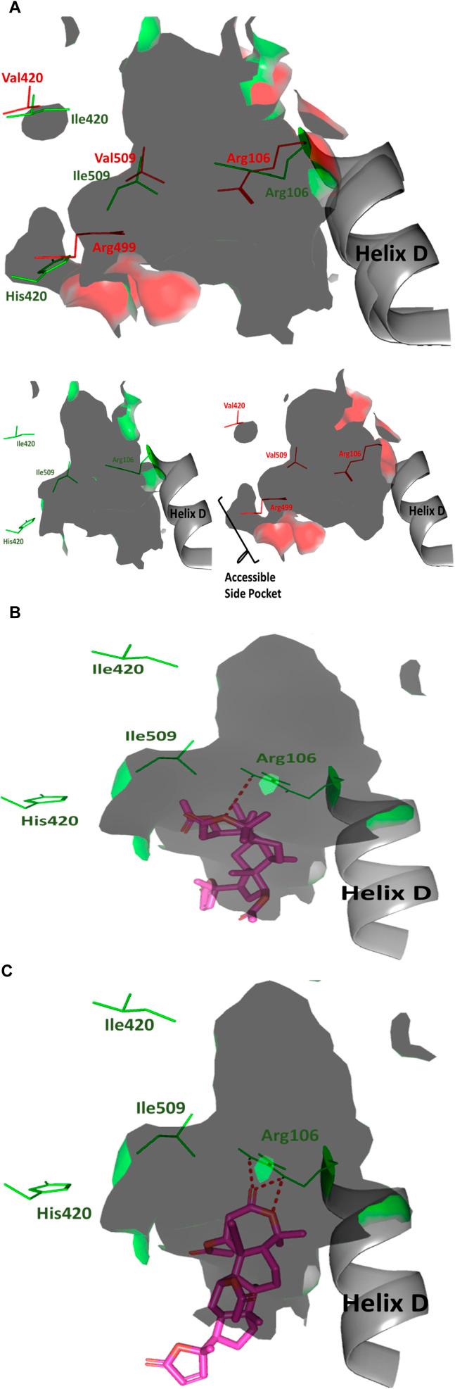 https://cdn.ncbi.nlm.nih.gov/pmc/blobs/13cb/11299235/70708089d249/d4ra04496g-f7.jpg