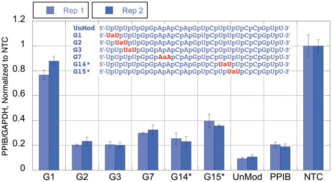https://cdn.ncbi.nlm.nih.gov/pmc/blobs/13cb/5737567/39dfa8f49e9c/gkx558fig2.jpg