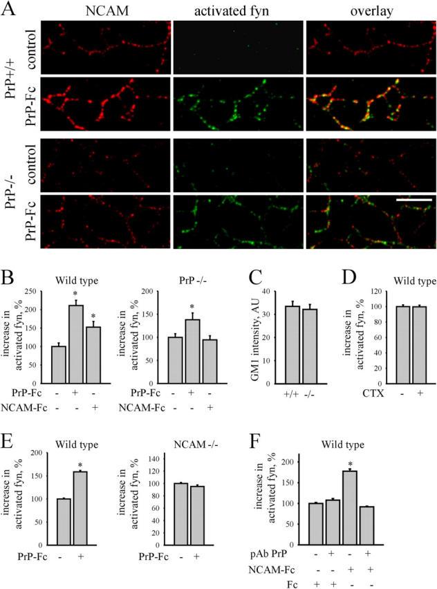 https://cdn.ncbi.nlm.nih.gov/pmc/blobs/13cd/2171870/8d08ec88a3fd/200409127f7.jpg