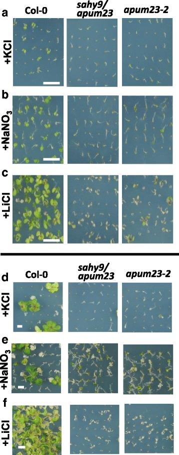 https://cdn.ncbi.nlm.nih.gov/pmc/blobs/13cd/5831739/e98e37ba24bf/12870_2018_1255_Fig2_HTML.jpg
