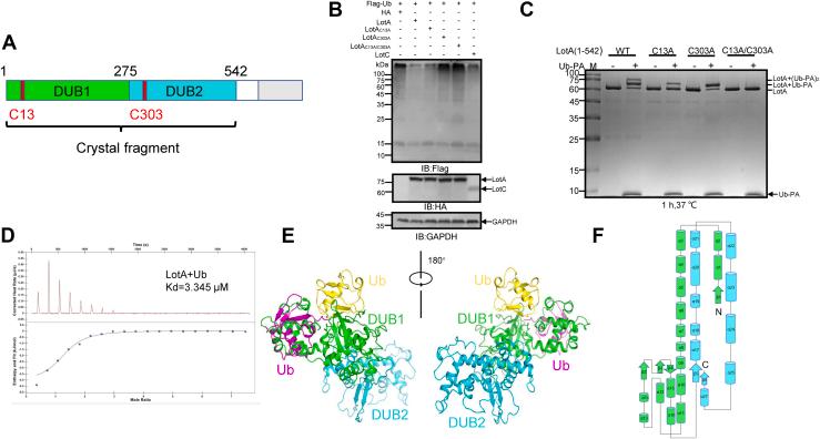 https://cdn.ncbi.nlm.nih.gov/pmc/blobs/13ce/9486567/798328177302/gr1.jpg