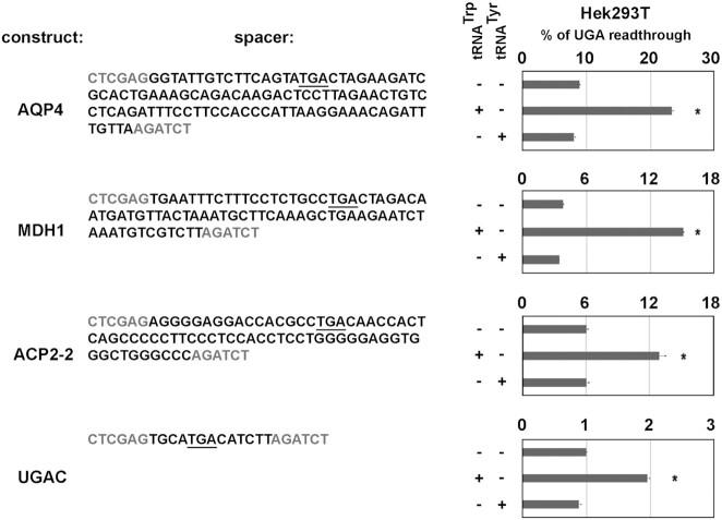 https://cdn.ncbi.nlm.nih.gov/pmc/blobs/13d0/8136774/cce260050ebf/gkab315fig4.jpg