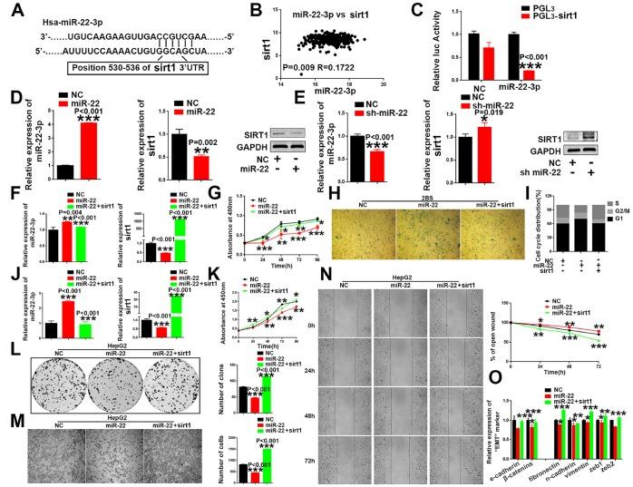 https://cdn.ncbi.nlm.nih.gov/pmc/blobs/13d2/6756895/84f25ef6429a/aging-11-102240-g005.jpg