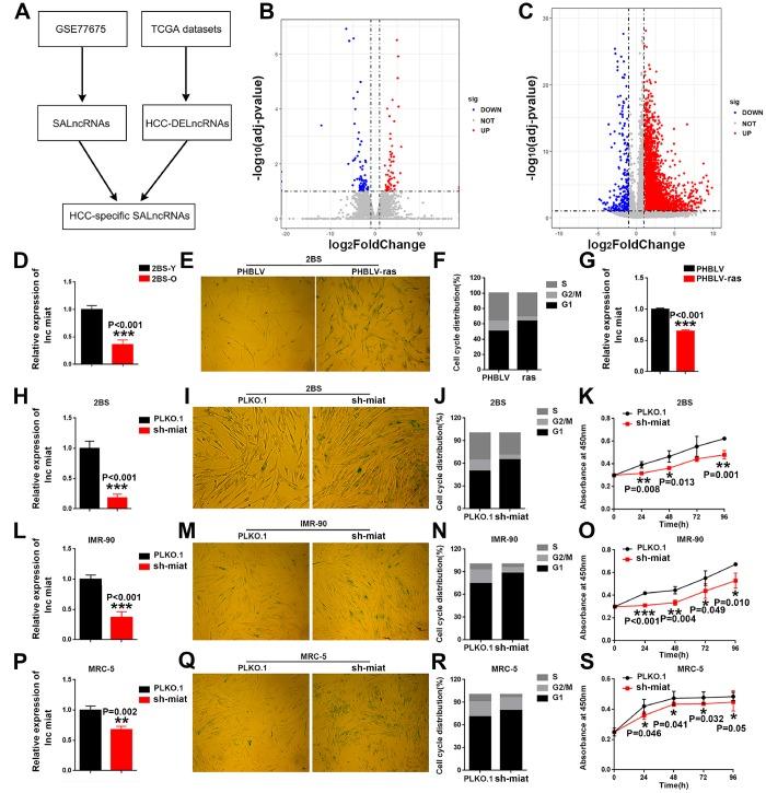 https://cdn.ncbi.nlm.nih.gov/pmc/blobs/13d2/6756895/c557beb56600/aging-11-102240-g001.jpg