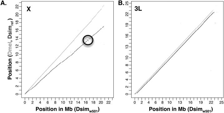https://cdn.ncbi.nlm.nih.gov/pmc/blobs/13d3/3530686/5a14bfeb43a8/89fig1.jpg