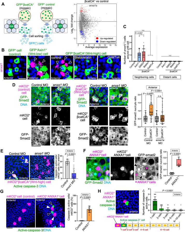 https://cdn.ncbi.nlm.nih.gov/pmc/blobs/13d6/11567007/2c1ad9caa7dd/sciadv.adp2357-f4.jpg