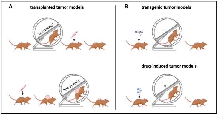 https://cdn.ncbi.nlm.nih.gov/pmc/blobs/13d8/10526963/70e0abce0ad2/cancers-15-04668-g003.jpg