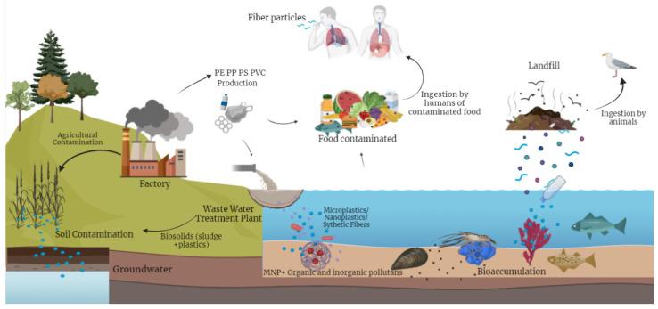 https://cdn.ncbi.nlm.nih.gov/pmc/blobs/13d8/11510996/994eed76ff8d/toxics-12-00762-g002.jpg