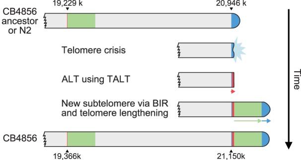 https://cdn.ncbi.nlm.nih.gov/pmc/blobs/13d8/6581047/08d47495f377/1023f05.jpg
