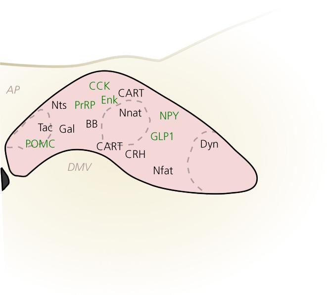 https://cdn.ncbi.nlm.nih.gov/pmc/blobs/13d9/9286632/d8373edecc11/JNE-34-0-g002.jpg