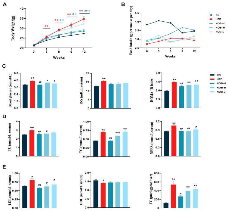 https://cdn.ncbi.nlm.nih.gov/pmc/blobs/13da/10935266/561715aace0b/molecules-29-00976-g001.jpg