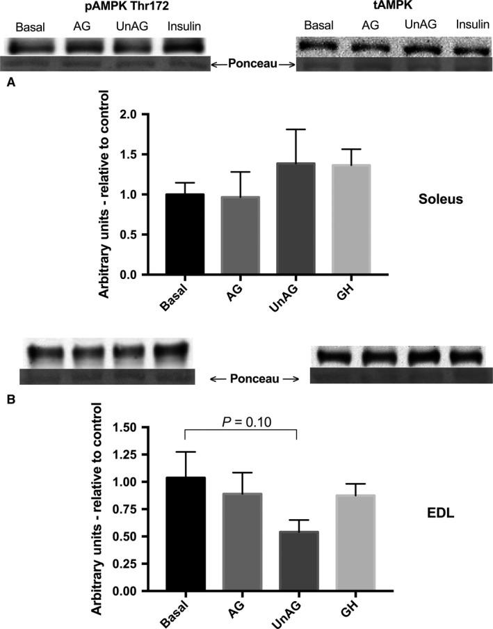 https://cdn.ncbi.nlm.nih.gov/pmc/blobs/13da/5506520/0cd87135263e/PHY2-5-e13320-g006.jpg