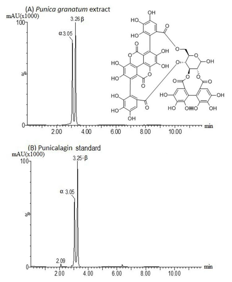 https://cdn.ncbi.nlm.nih.gov/pmc/blobs/13db/10484239/5549fec838a9/cureus-0015-00000043142-i01.jpg