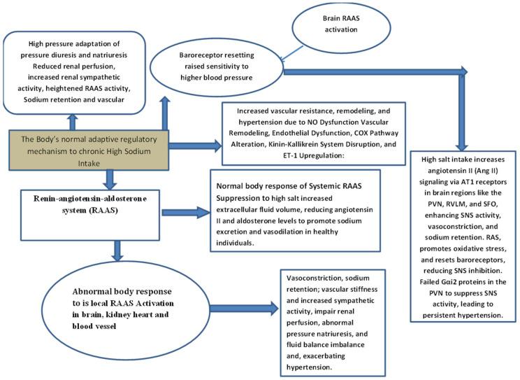 https://cdn.ncbi.nlm.nih.gov/pmc/blobs/13db/11940015/9a705cf7cde8/biomedicines-13-00746-g003.jpg