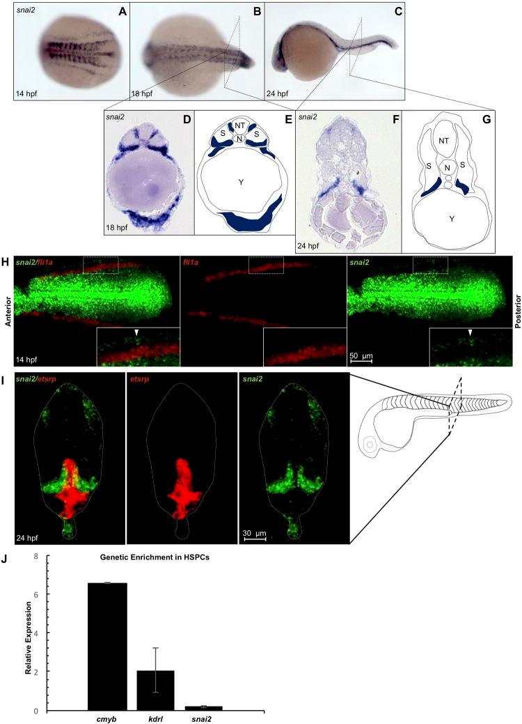 https://cdn.ncbi.nlm.nih.gov/pmc/blobs/13dc/6135377/b110df93103c/pone.0202747.g001.jpg