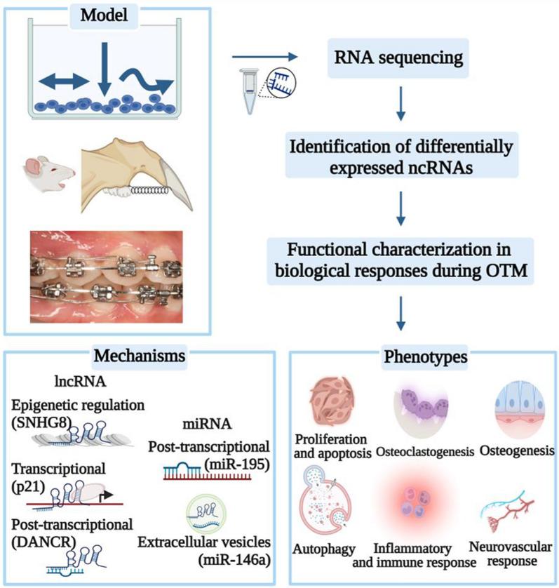 https://cdn.ncbi.nlm.nih.gov/pmc/blobs/13dd/9912641/2186666ad2fe/12967_2023_3951_Fig1_HTML.jpg