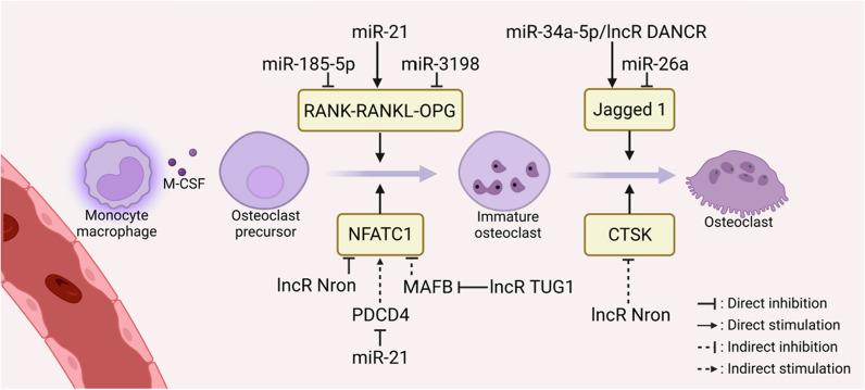 https://cdn.ncbi.nlm.nih.gov/pmc/blobs/13dd/9912641/8bf4d1381d80/12967_2023_3951_Fig4_HTML.jpg