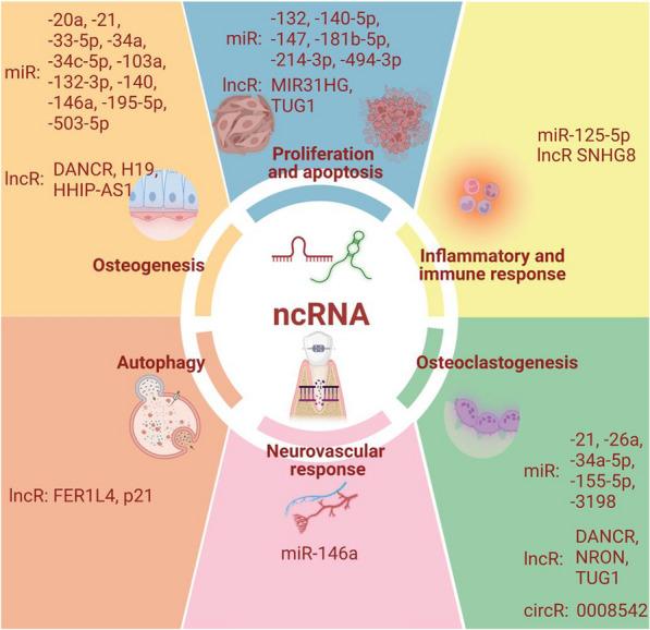 https://cdn.ncbi.nlm.nih.gov/pmc/blobs/13dd/9912641/e09f0e093244/12967_2023_3951_Fig3_HTML.jpg