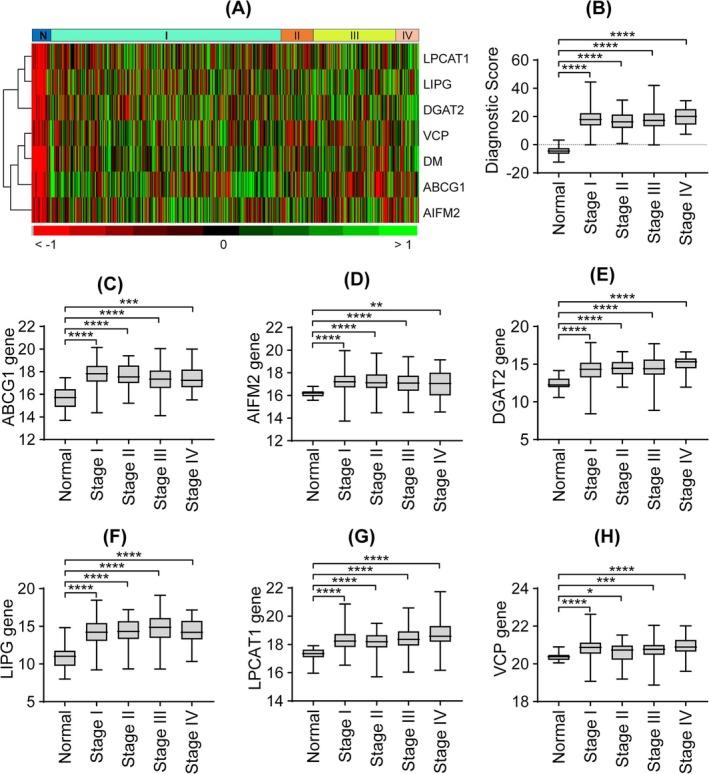 https://cdn.ncbi.nlm.nih.gov/pmc/blobs/13df/12350079/b40100dedcff/CNR2-8-e70313-g003.jpg