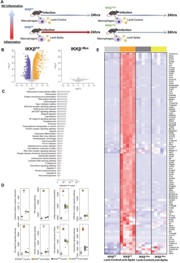 https://cdn.ncbi.nlm.nih.gov/pmc/blobs/13df/8965482/061f8c0e213a/thnov12p2639g010.jpg