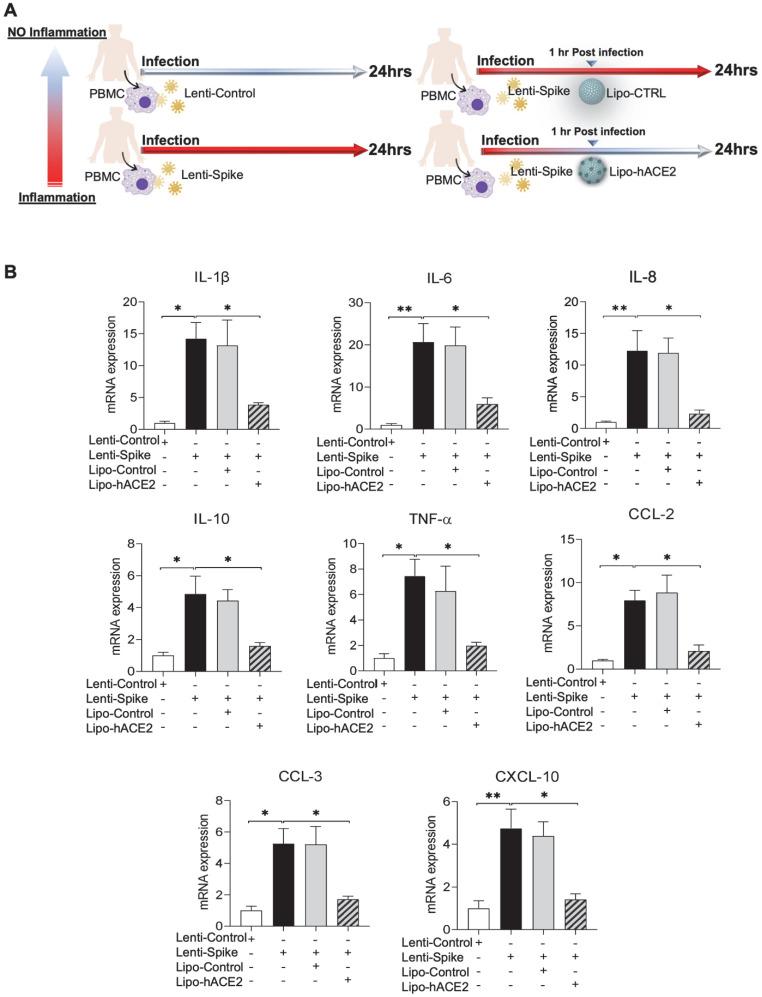 https://cdn.ncbi.nlm.nih.gov/pmc/blobs/13df/8965482/065692998a97/thnov12p2639g008.jpg