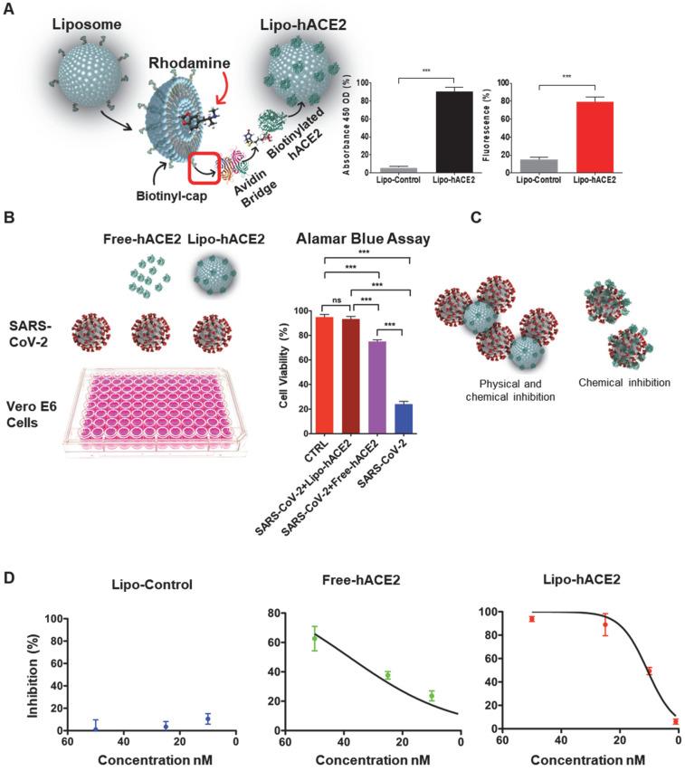 https://cdn.ncbi.nlm.nih.gov/pmc/blobs/13df/8965482/1b2f3c417527/thnov12p2639g001.jpg