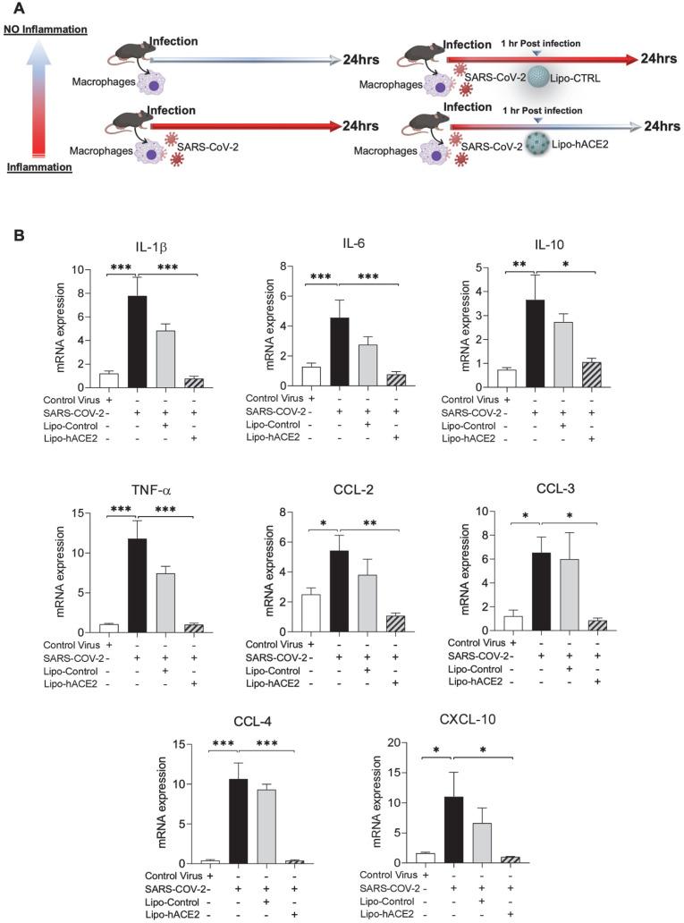 https://cdn.ncbi.nlm.nih.gov/pmc/blobs/13df/8965482/3114cbafb1c9/thnov12p2639g003.jpg