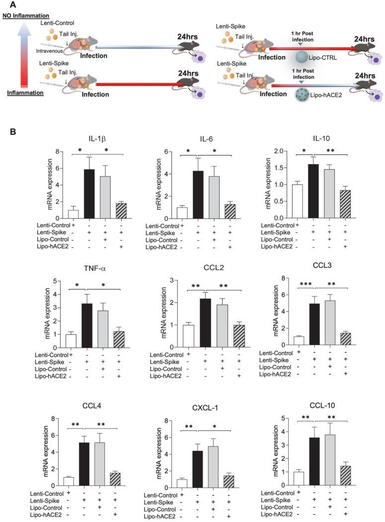 https://cdn.ncbi.nlm.nih.gov/pmc/blobs/13df/8965482/8955107fdefb/thnov12p2639g004.jpg