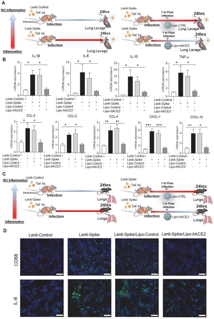 https://cdn.ncbi.nlm.nih.gov/pmc/blobs/13df/8965482/b0db79b4cd99/thnov12p2639g005.jpg