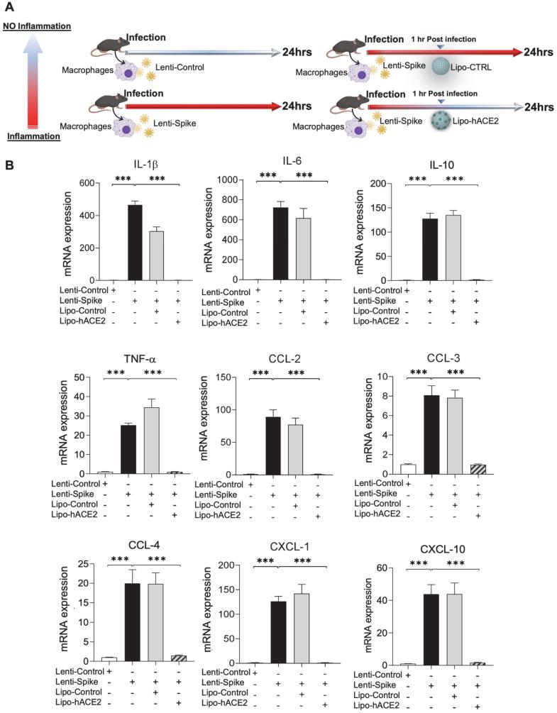 https://cdn.ncbi.nlm.nih.gov/pmc/blobs/13df/8965482/cf8af13949ad/thnov12p2639g002.jpg