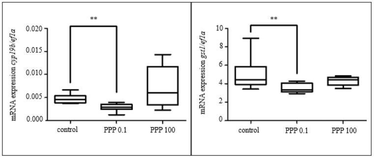 https://cdn.ncbi.nlm.nih.gov/pmc/blobs/13e1/10141211/5ee1ca4a8457/toxics-11-00333-g005.jpg