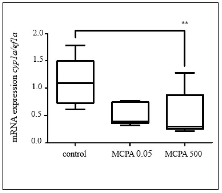 https://cdn.ncbi.nlm.nih.gov/pmc/blobs/13e1/10141211/fffacc0d7d82/toxics-11-00333-g002.jpg