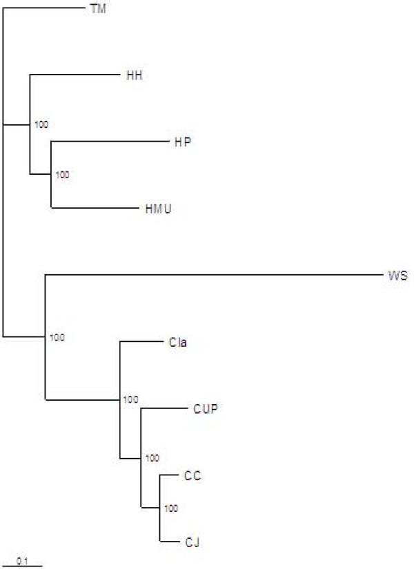https://cdn.ncbi.nlm.nih.gov/pmc/blobs/13e1/2846917/00cbcbbeac2f/1471-2164-11-164-6.jpg
