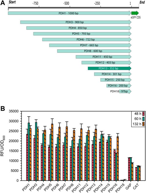 https://cdn.ncbi.nlm.nih.gov/pmc/blobs/13e2/10076887/372f55a3dc3c/fbioe-11-1130583-g002.jpg