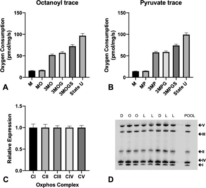 https://cdn.ncbi.nlm.nih.gov/pmc/blobs/13e4/10205750/7195c40a6378/41598_2023_35041_Fig4_HTML.jpg