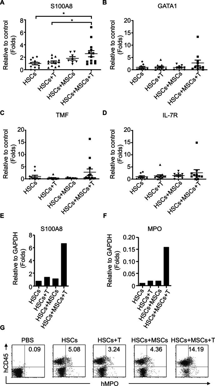 https://cdn.ncbi.nlm.nih.gov/pmc/blobs/13e4/11921582/479a04997c53/12916_2025_3987_Fig4_HTML.jpg