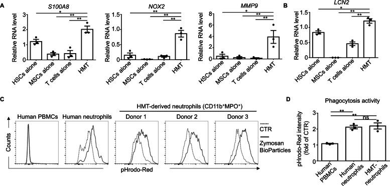 https://cdn.ncbi.nlm.nih.gov/pmc/blobs/13e4/11921582/5a2e9d2f9490/12916_2025_3987_Fig2_HTML.jpg