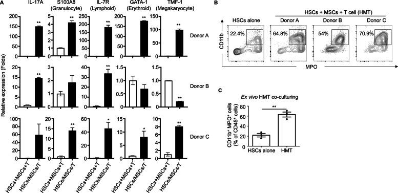 https://cdn.ncbi.nlm.nih.gov/pmc/blobs/13e4/11921582/d995c2663259/12916_2025_3987_Fig1_HTML.jpg