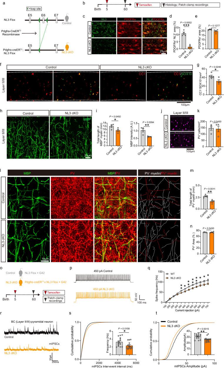 https://cdn.ncbi.nlm.nih.gov/pmc/blobs/13e5/12246190/136306cdb2e3/41467_2025_61455_Fig8_HTML.jpg