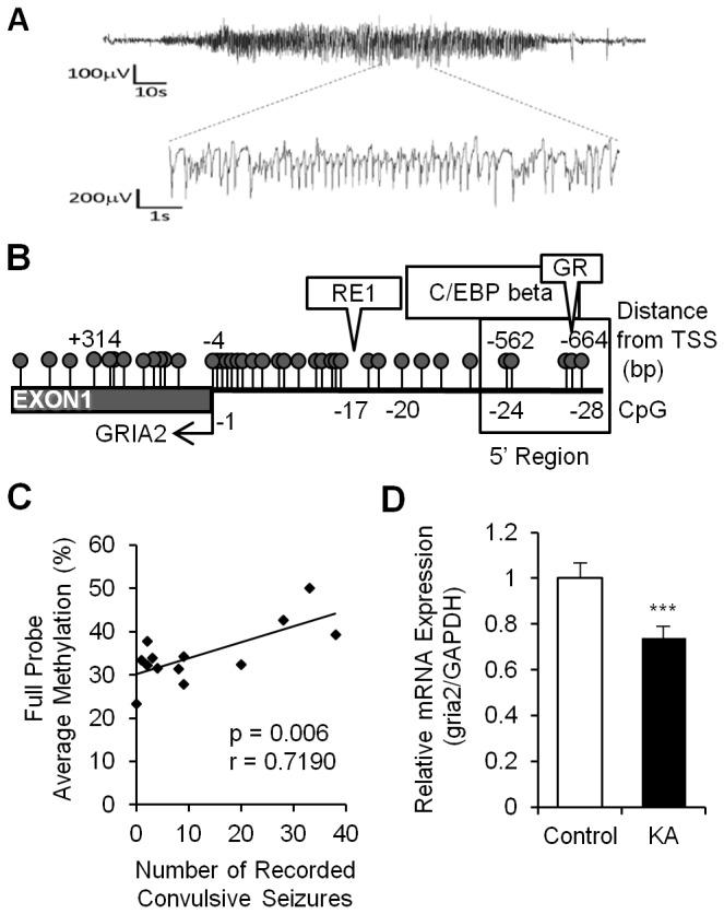 https://cdn.ncbi.nlm.nih.gov/pmc/blobs/13e5/3788713/a38b5f127a40/pone.0076299.g005.jpg