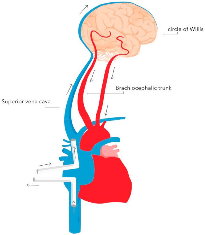 https://cdn.ncbi.nlm.nih.gov/pmc/blobs/13e5/8297075/9a4ee1f9dab0/ijerph-18-07061-g003.jpg