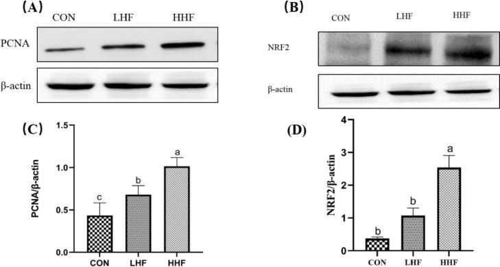 https://cdn.ncbi.nlm.nih.gov/pmc/blobs/13e8/8572884/916c07873264/gr6.jpg