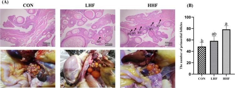 https://cdn.ncbi.nlm.nih.gov/pmc/blobs/13e8/8572884/e64ecfa6b4c1/gr4.jpg