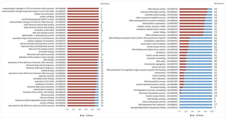 https://cdn.ncbi.nlm.nih.gov/pmc/blobs/13e8/9369070/b038bbe64833/ijms-23-08517-g003.jpg