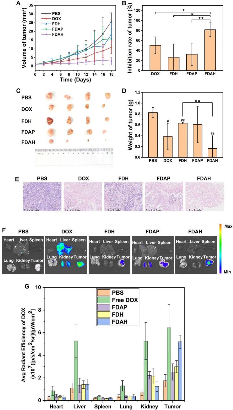 https://cdn.ncbi.nlm.nih.gov/pmc/blobs/13ed/12327863/a0cbf7107004/gr4.jpg