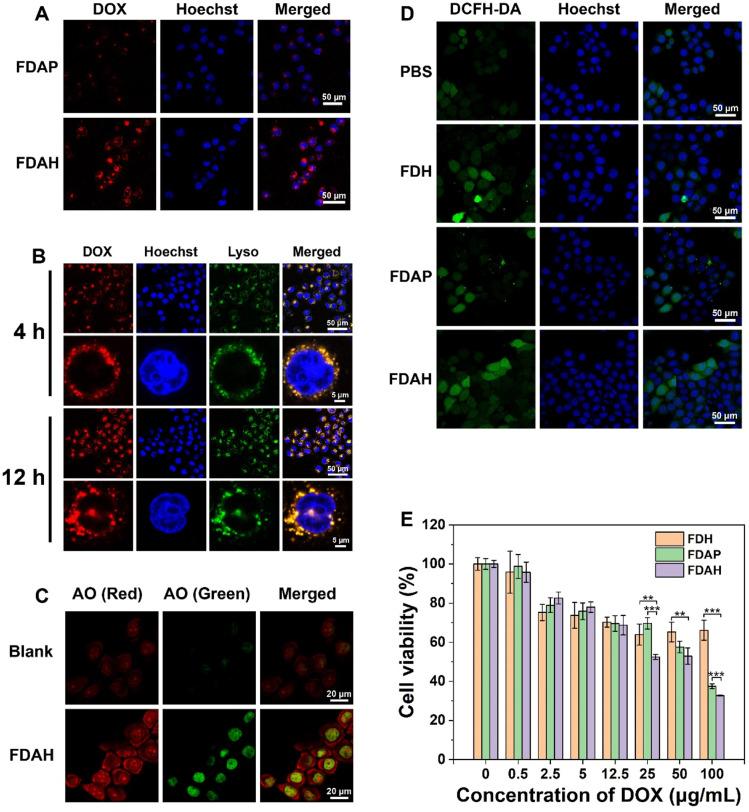 https://cdn.ncbi.nlm.nih.gov/pmc/blobs/13ed/12327863/dcdd14ab66ce/gr3.jpg