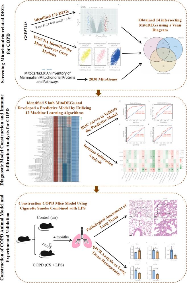 https://cdn.ncbi.nlm.nih.gov/pmc/blobs/13f1/12022275/b04abc47a94f/41598_2025_99002_Fig1_HTML.jpg