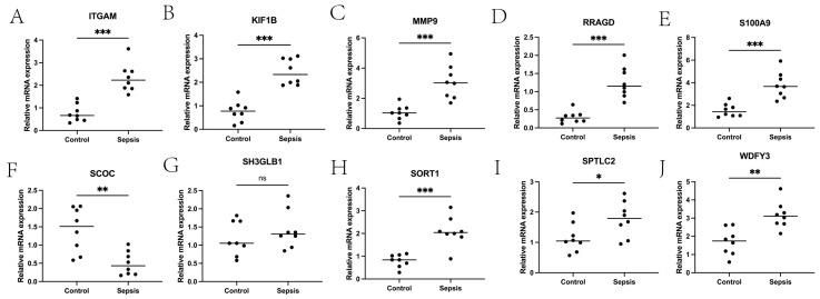 https://cdn.ncbi.nlm.nih.gov/pmc/blobs/13f3/10572834/16c5ec6b03ac/ijms-24-14720-g008.jpg